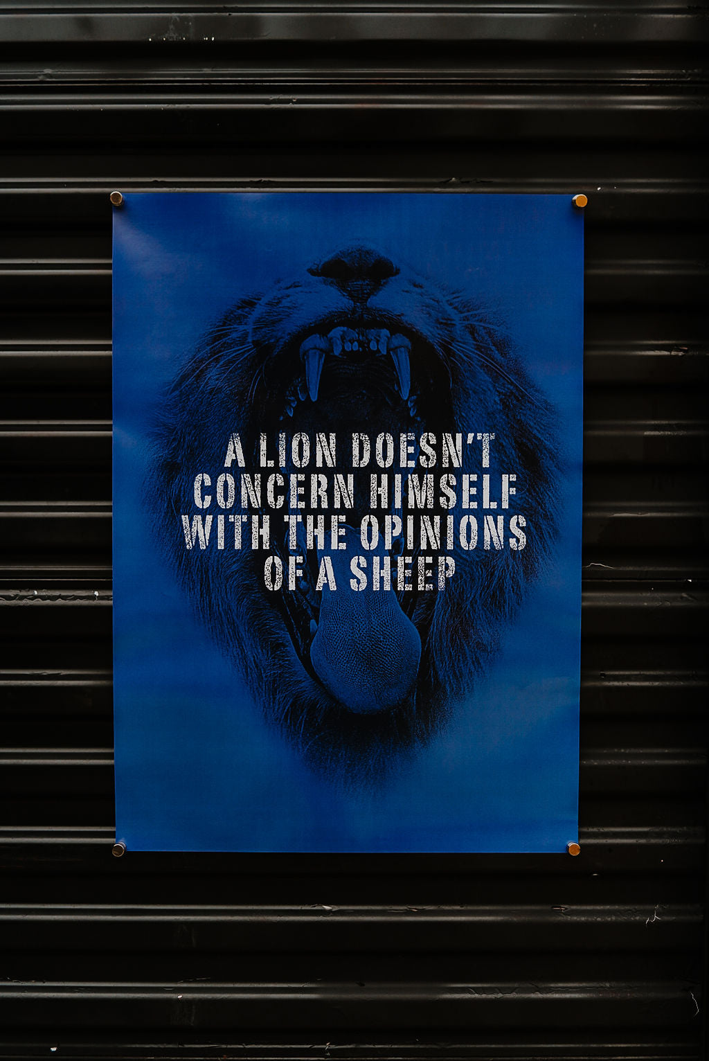 Lion Heart 19x27 Poster